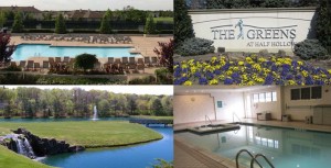 greens-top-collage-new